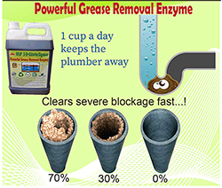 grease removal enzyme